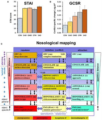 Neuropsychological Theory as a Basis for Clinical Translation of Animal Models of Neuropsychiatric Disorder